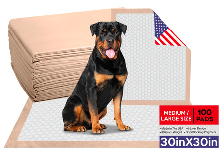 AbsorbEase Disposable 30x30 Inch Underpads | Puppy Training Housebreaking Pads